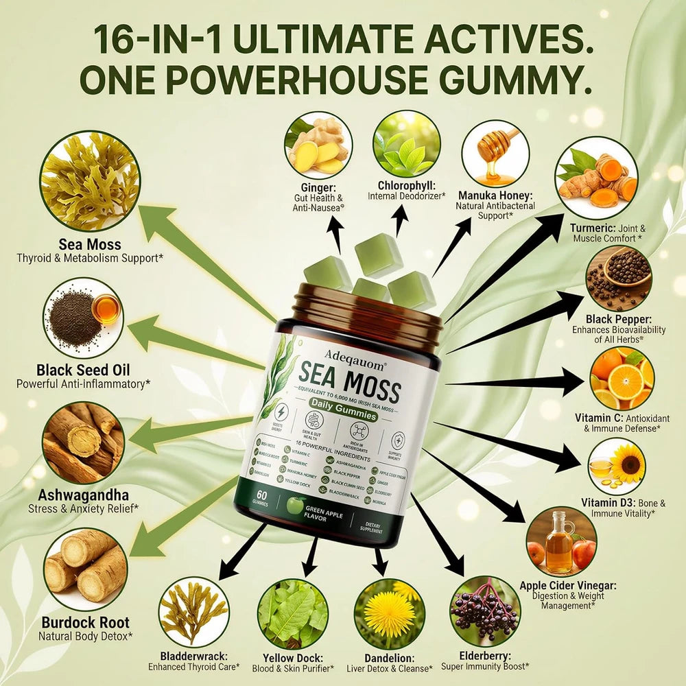 Sea Moss Gummies with Ashwagandha and Black Seed Oil for Daily Energy